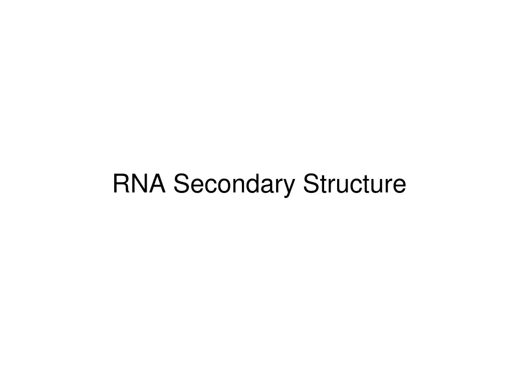 rna secondary structure