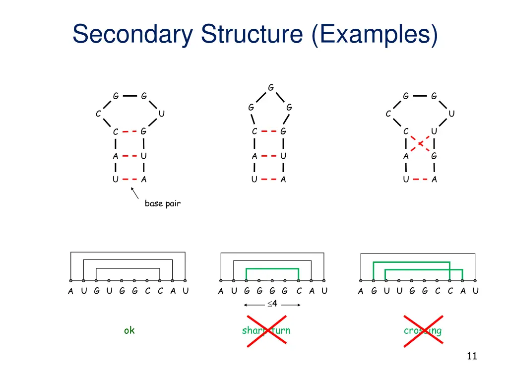 secondary structure examples