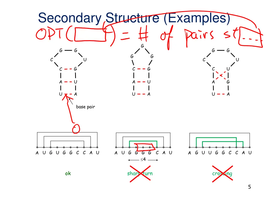 secondary structure examples