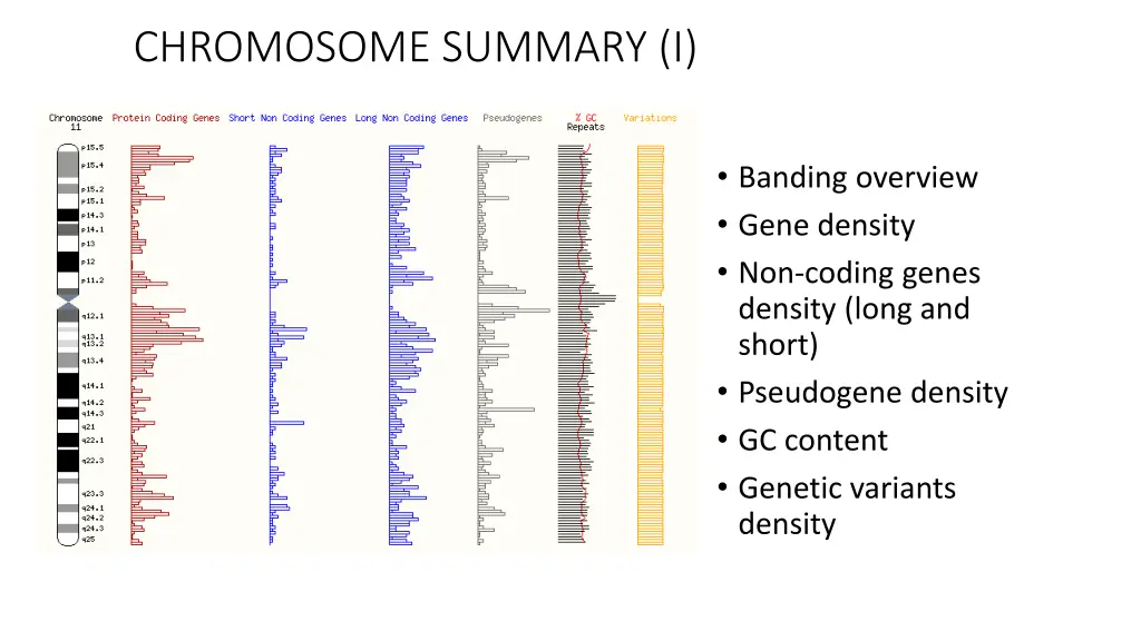 chromosome summary i