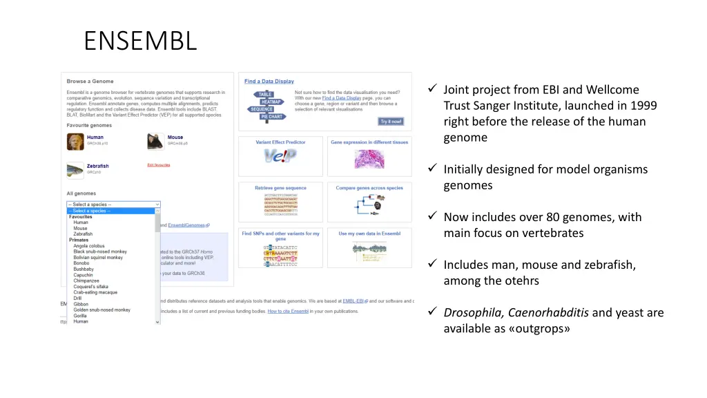 ensembl