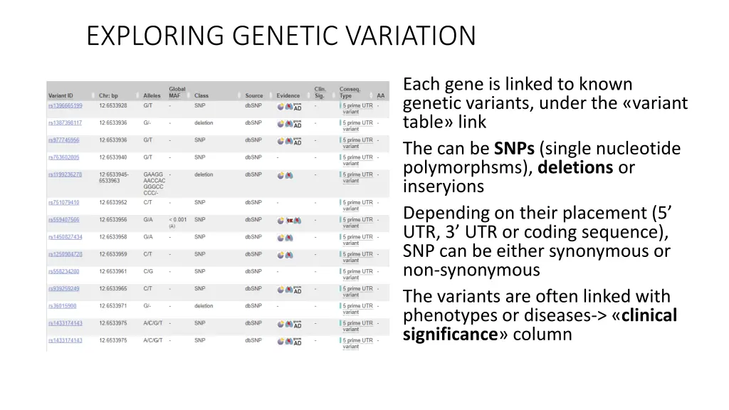 exploring genetic variation