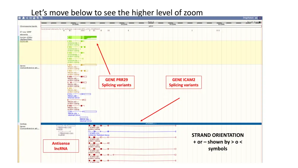 let s move below to see the higher level of zoom