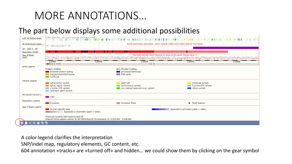 more annotations