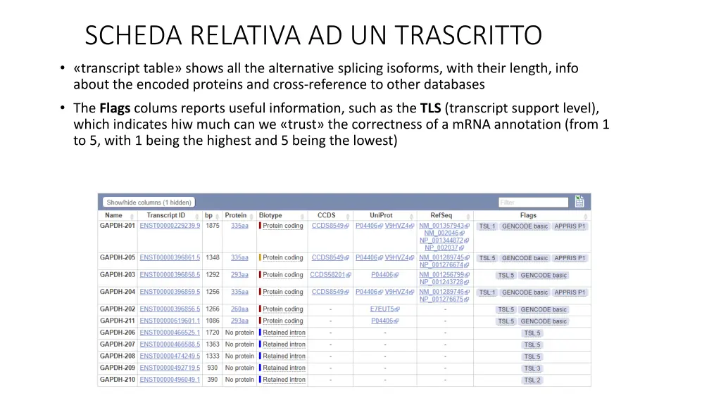 scheda relativa ad un trascritto transcript table