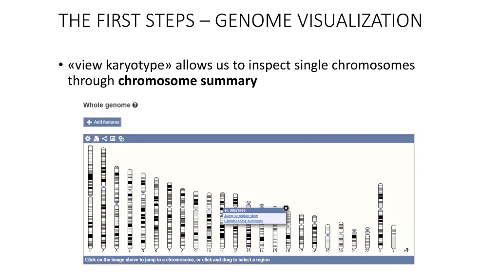 the first steps genome visualization