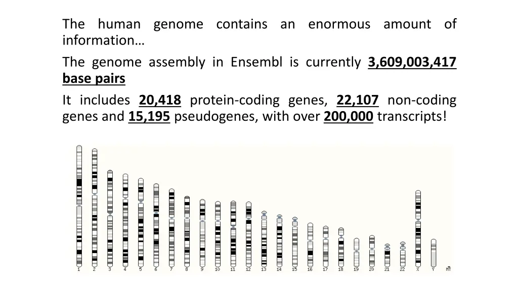 the human genome contains an enormous amount