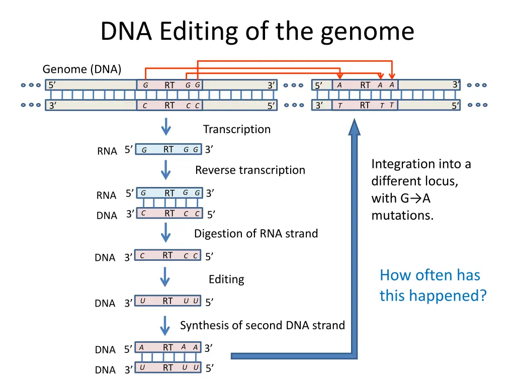 dna editing of the genome