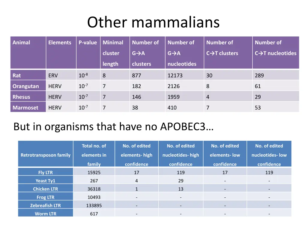 other mammalians