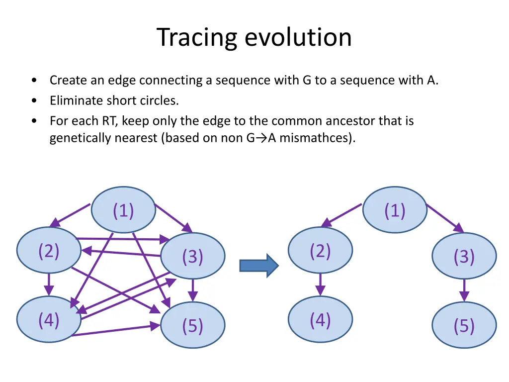 tracing evolution 1