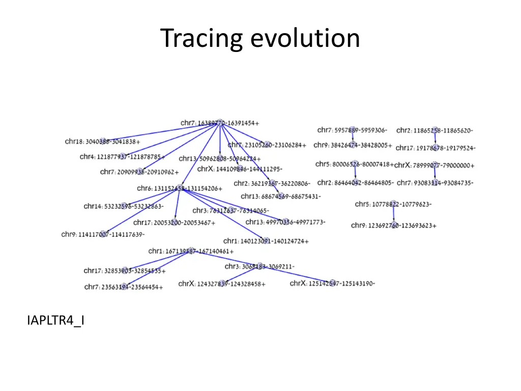 tracing evolution 2