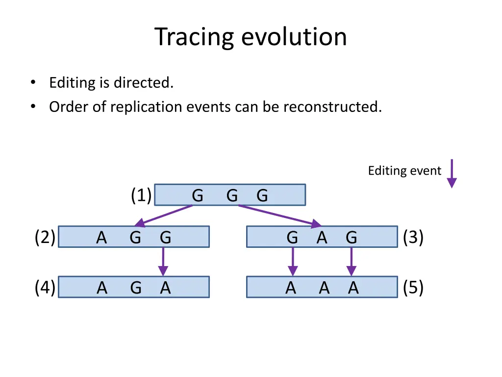 tracing evolution