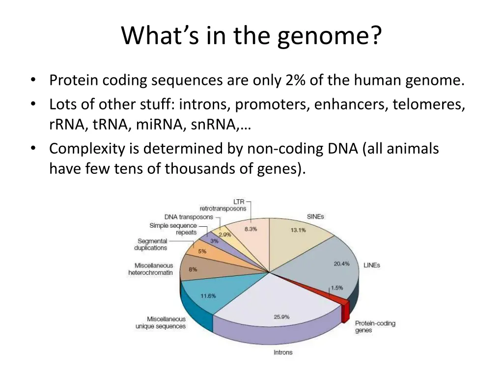 what s in the genome