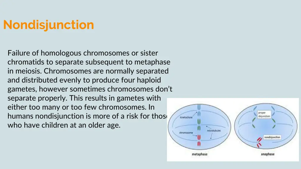 nondisjunction