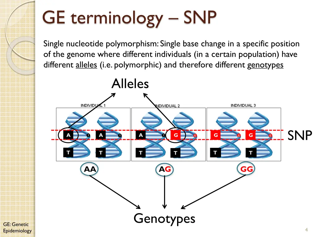 ge terminology snp