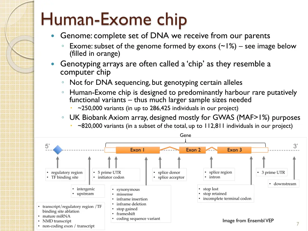 human exome chip genome complete