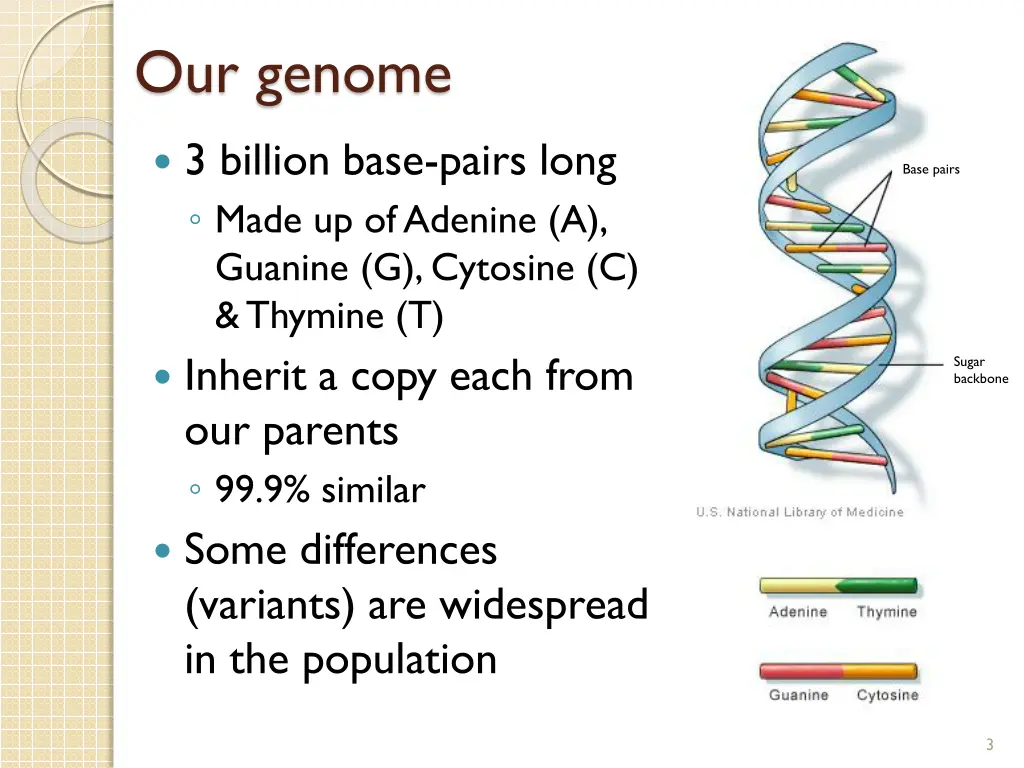 our genome