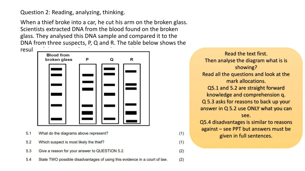 question 2 reading analyzing thinking