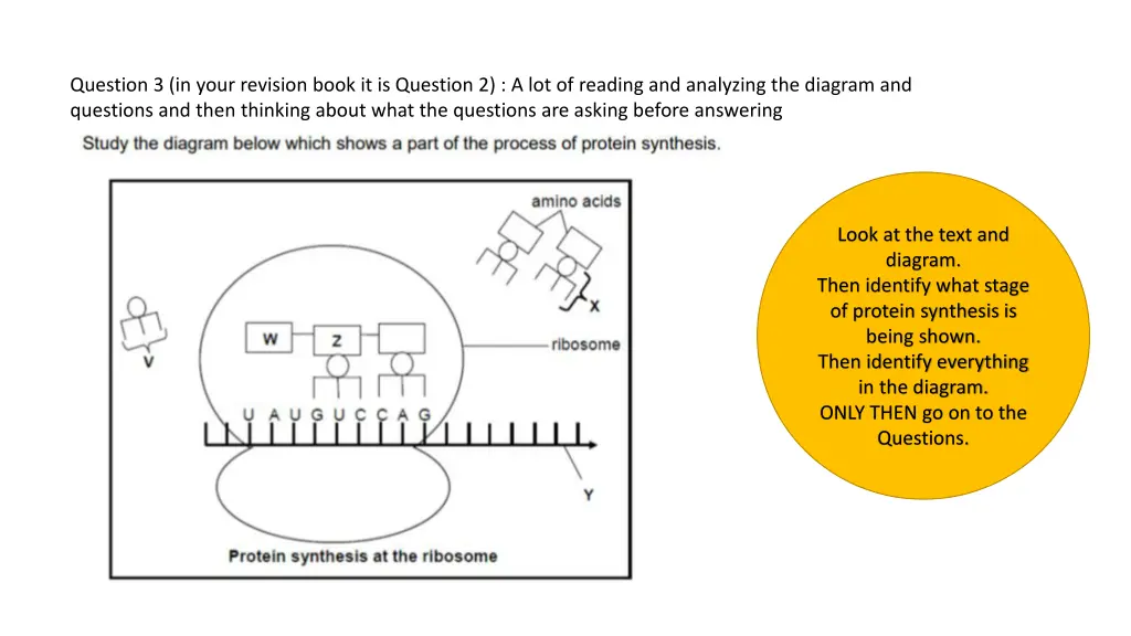 question 3 in your revision book it is question