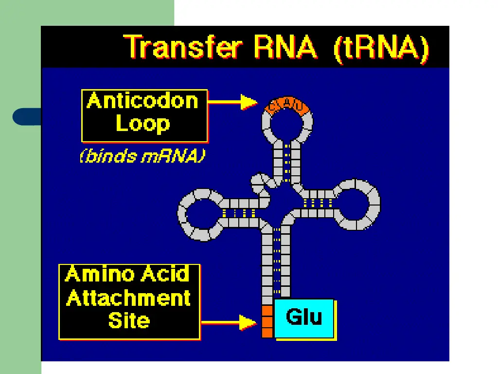 slide10