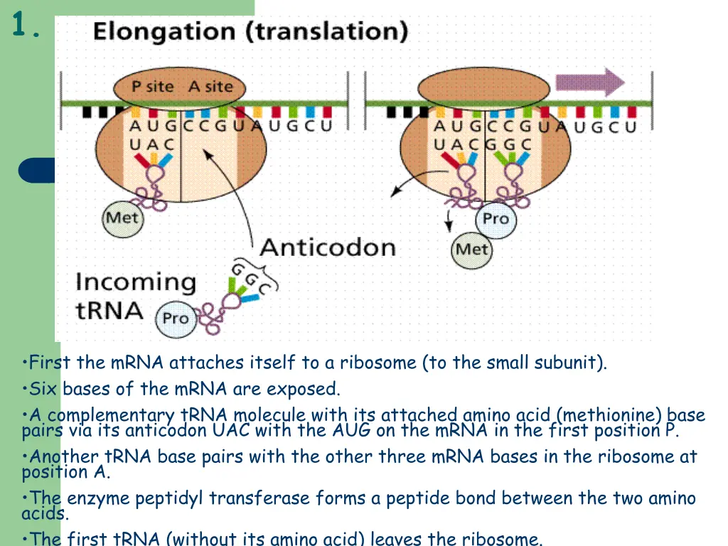 slide15