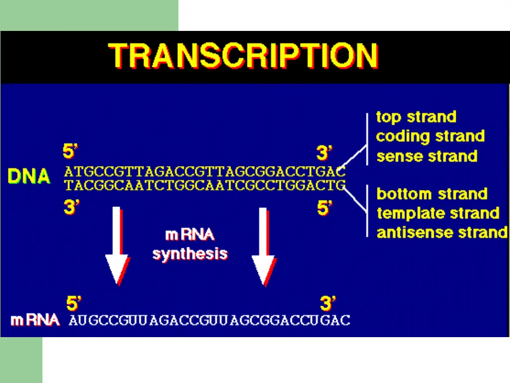 slide8