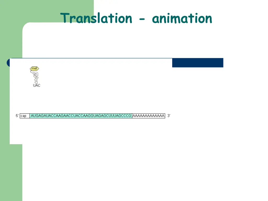 translation animation