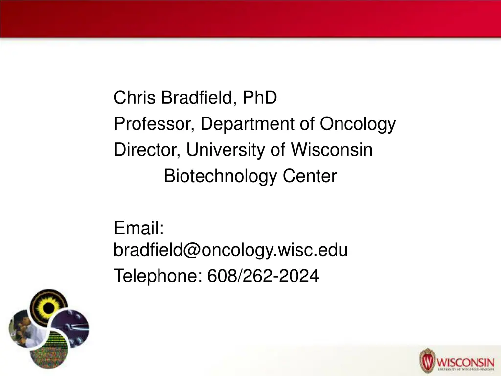 chris bradfield phd professor department