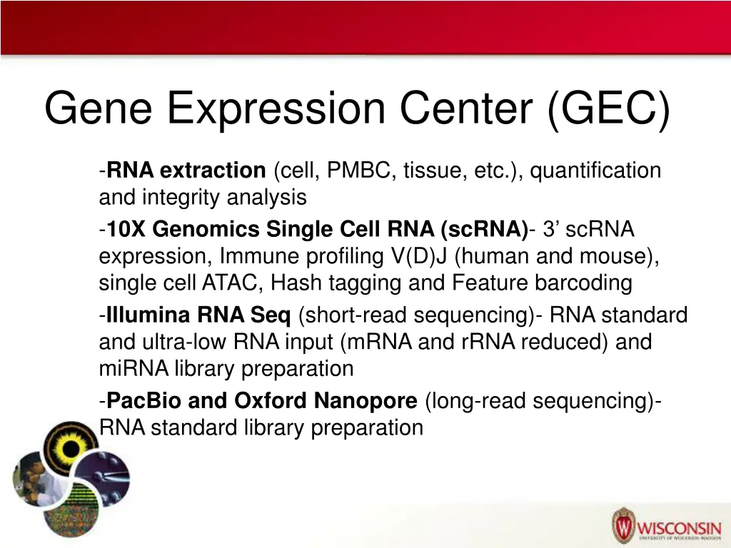 gene expression center gec