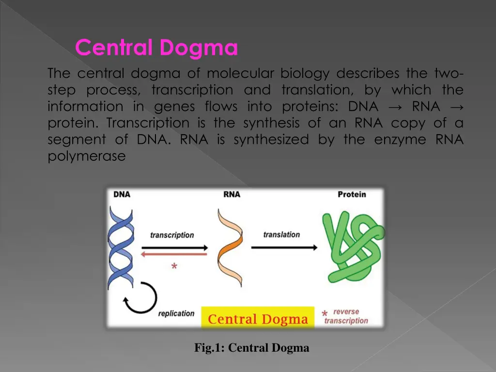 central dogma