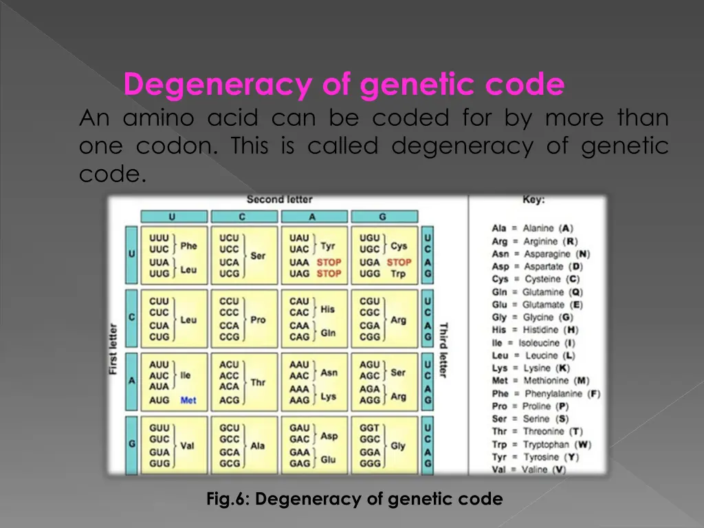 degeneracy of genetic code an amino acid