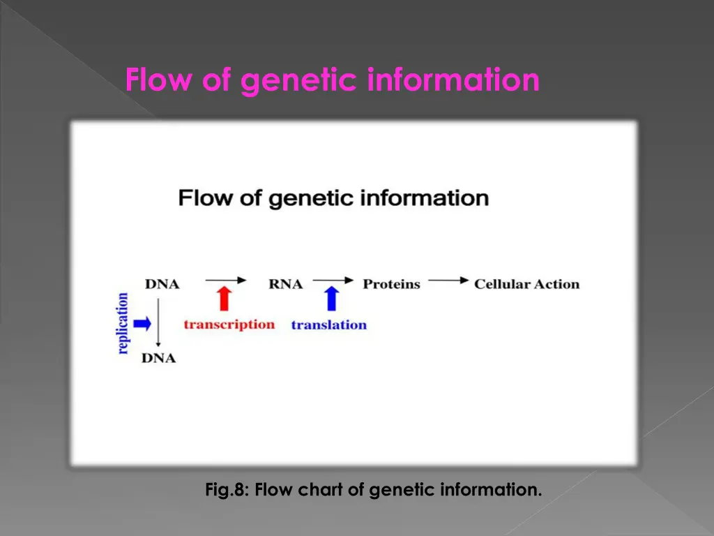 flow of genetic information