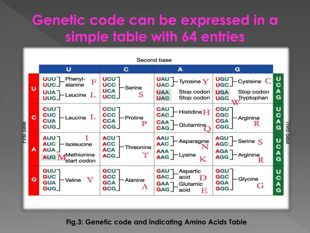 genetic code can be expressed in a simple table