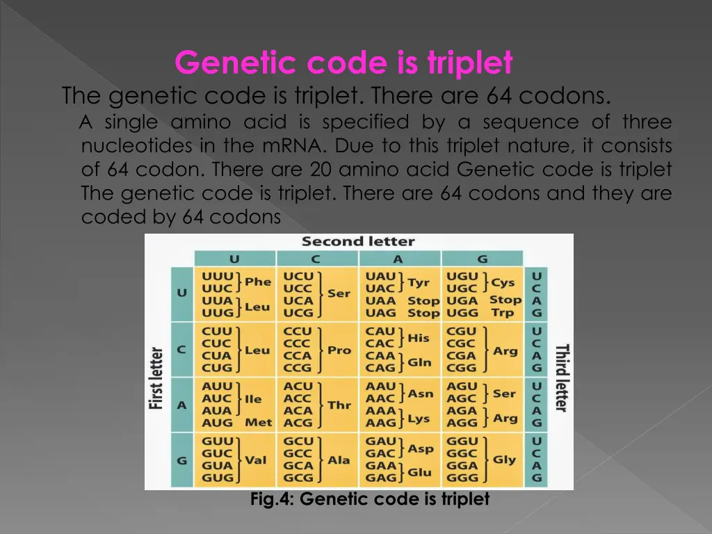 genetic code is triplet