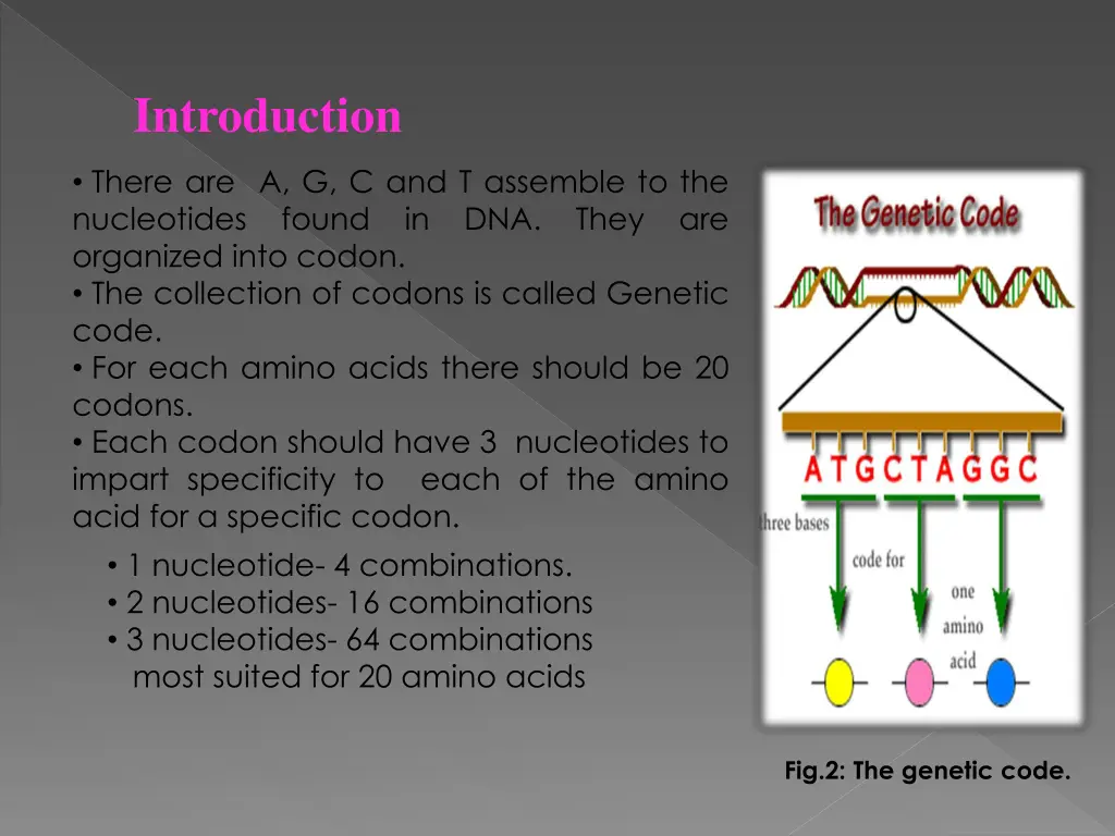 introduction