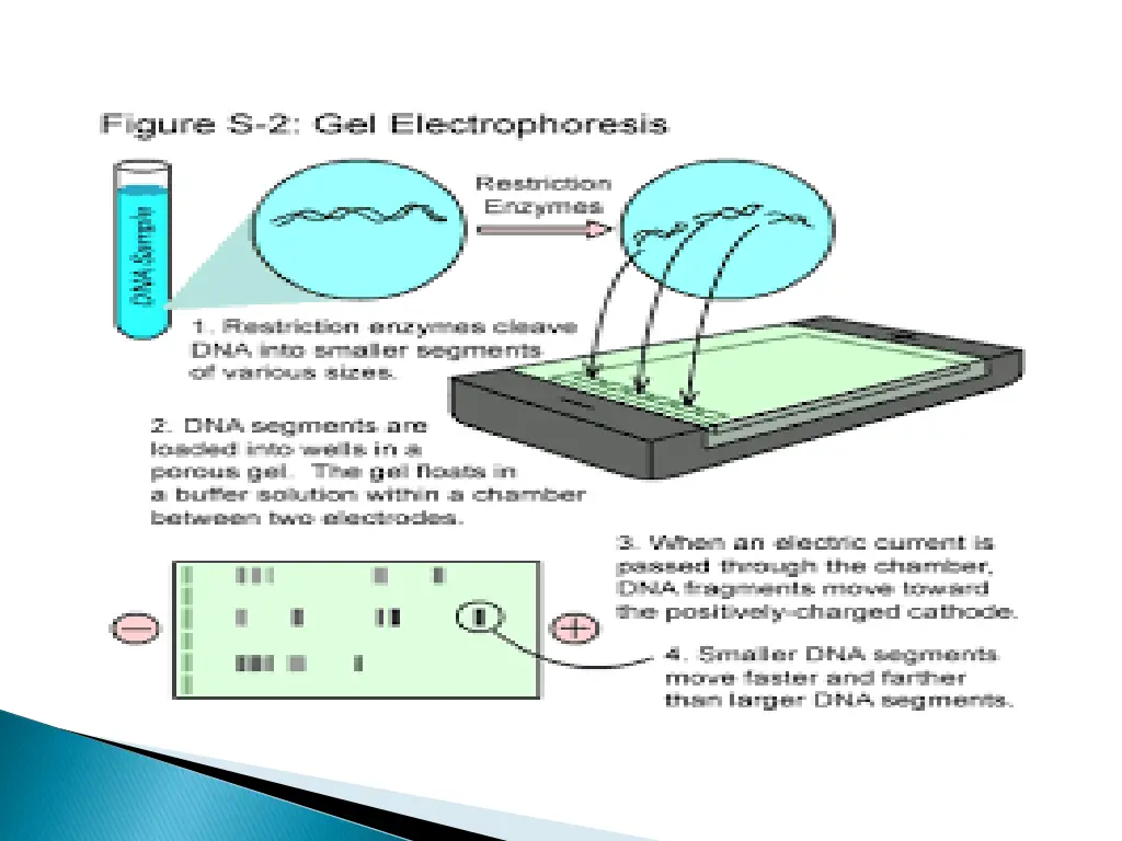 slide4