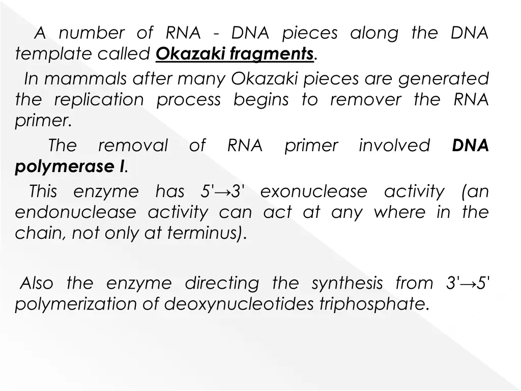 a number of rna dna pieces along the dna template