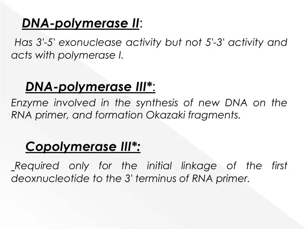 dna polymerase ii