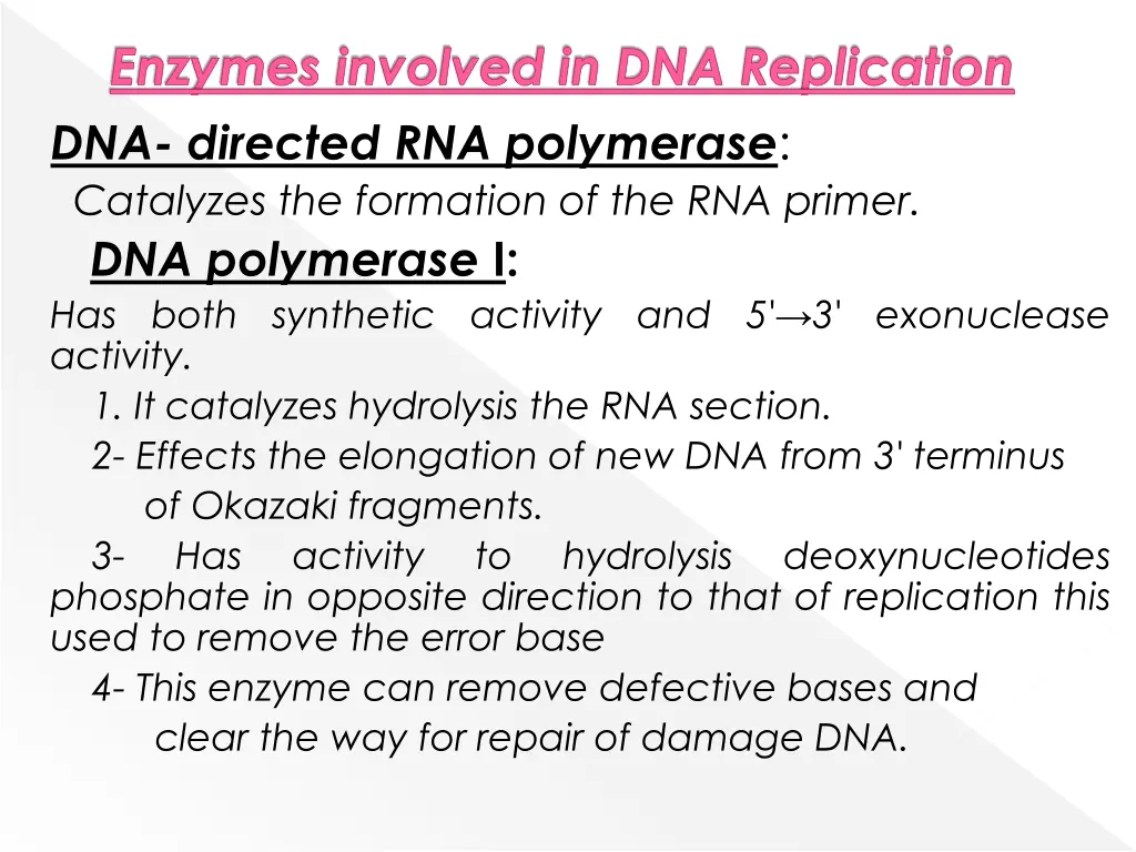 enzymes involved in dna replication dna directed