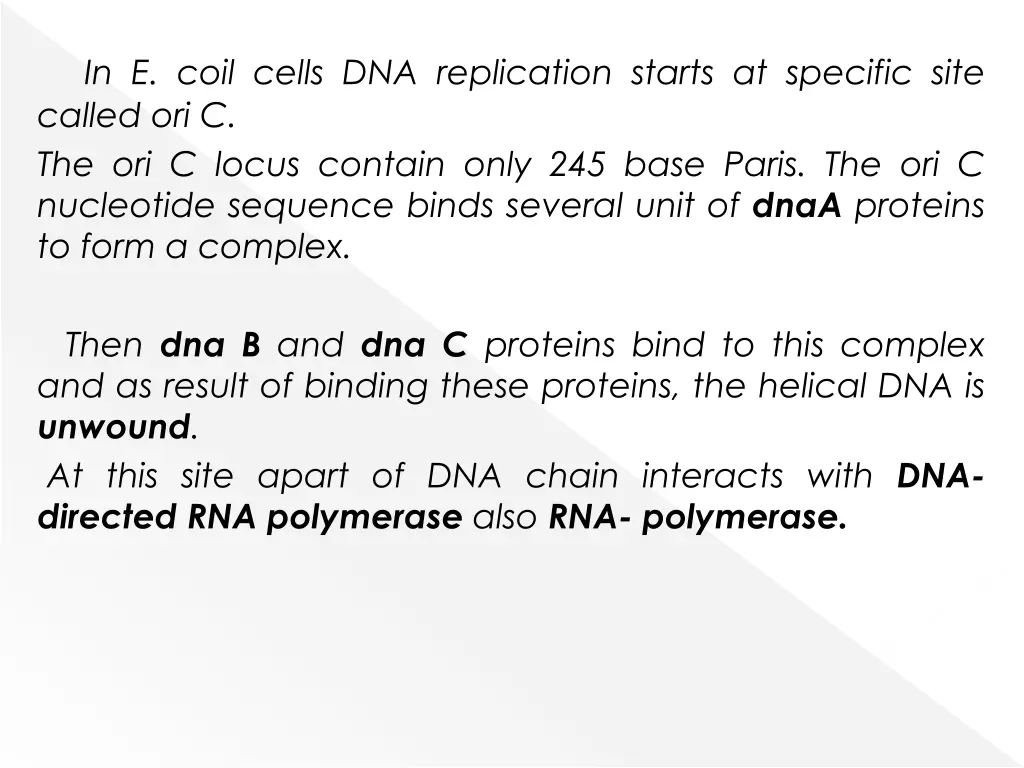 in e coil cells dna replication starts