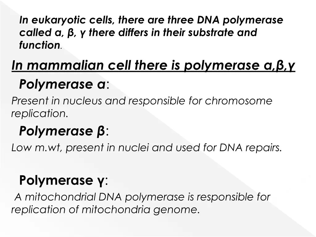 in eukaryotic cells there are three