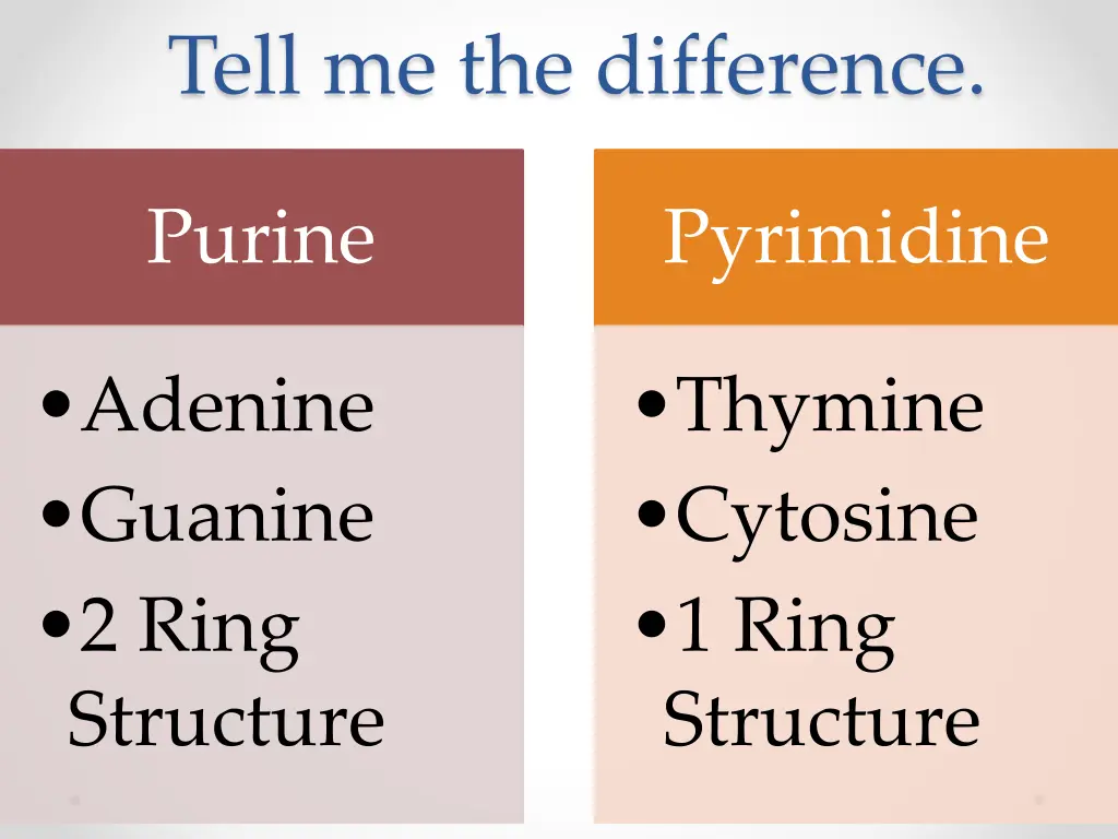 tell me the difference 1