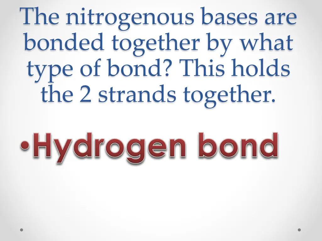 the nitrogenous bases are bonded together by what