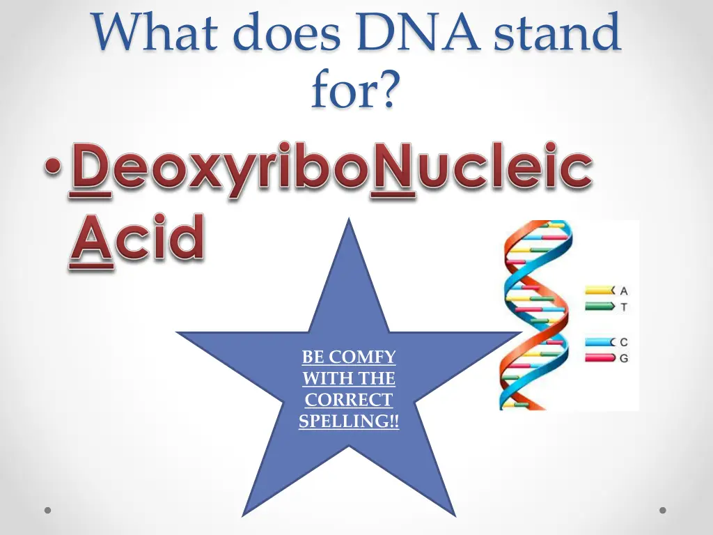 what does dna stand for