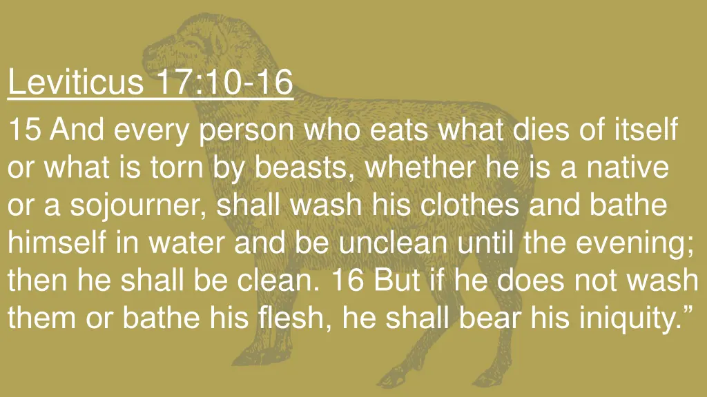 leviticus 17 10 16 15 and every person who eats