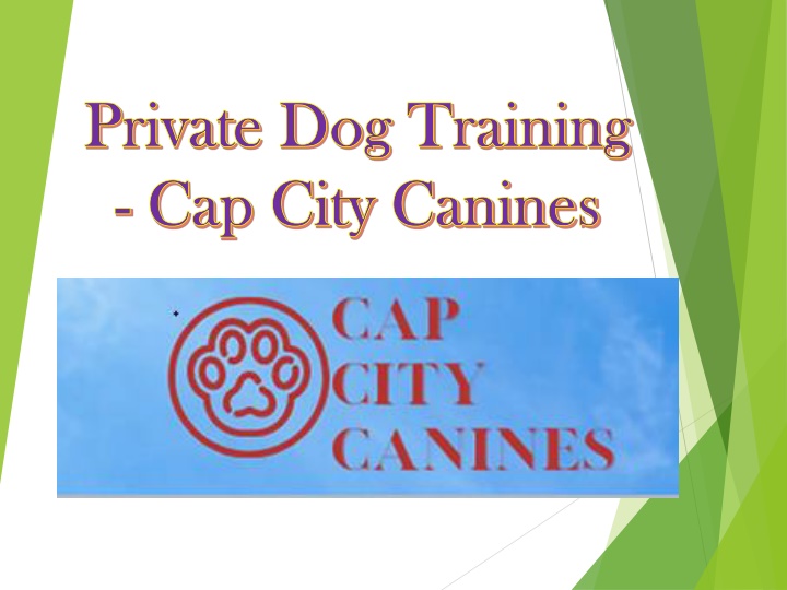 private dog training private dog training