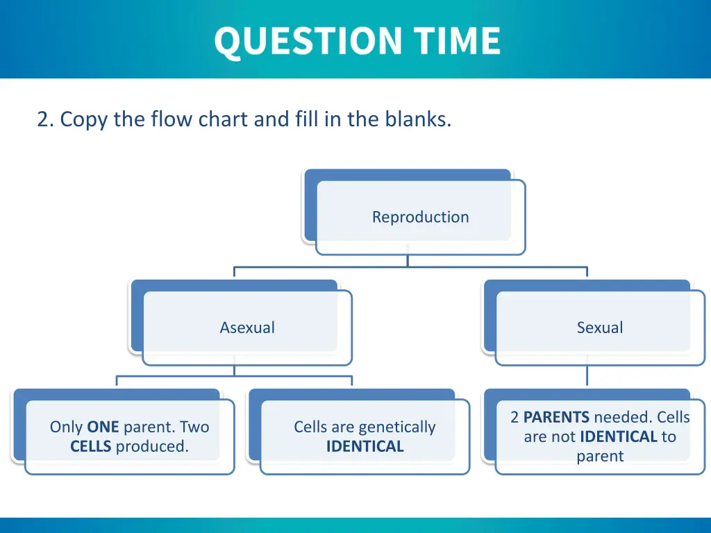 2 copy the flow chart and fill in the blanks