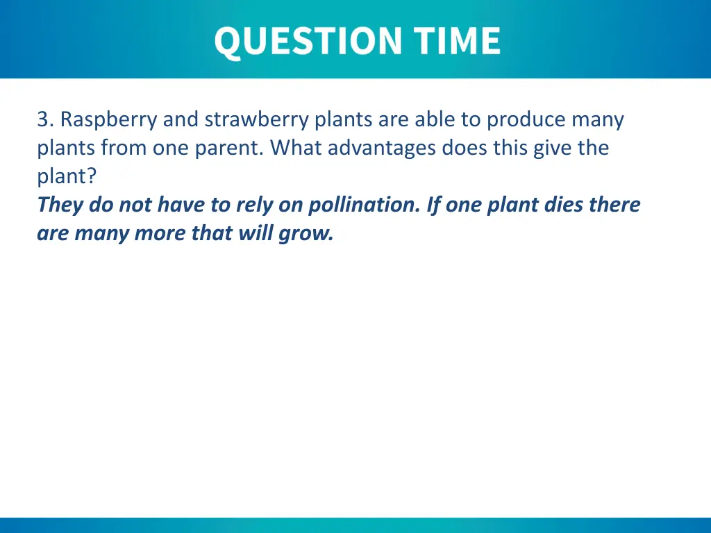 3 raspberry and strawberry plants are able