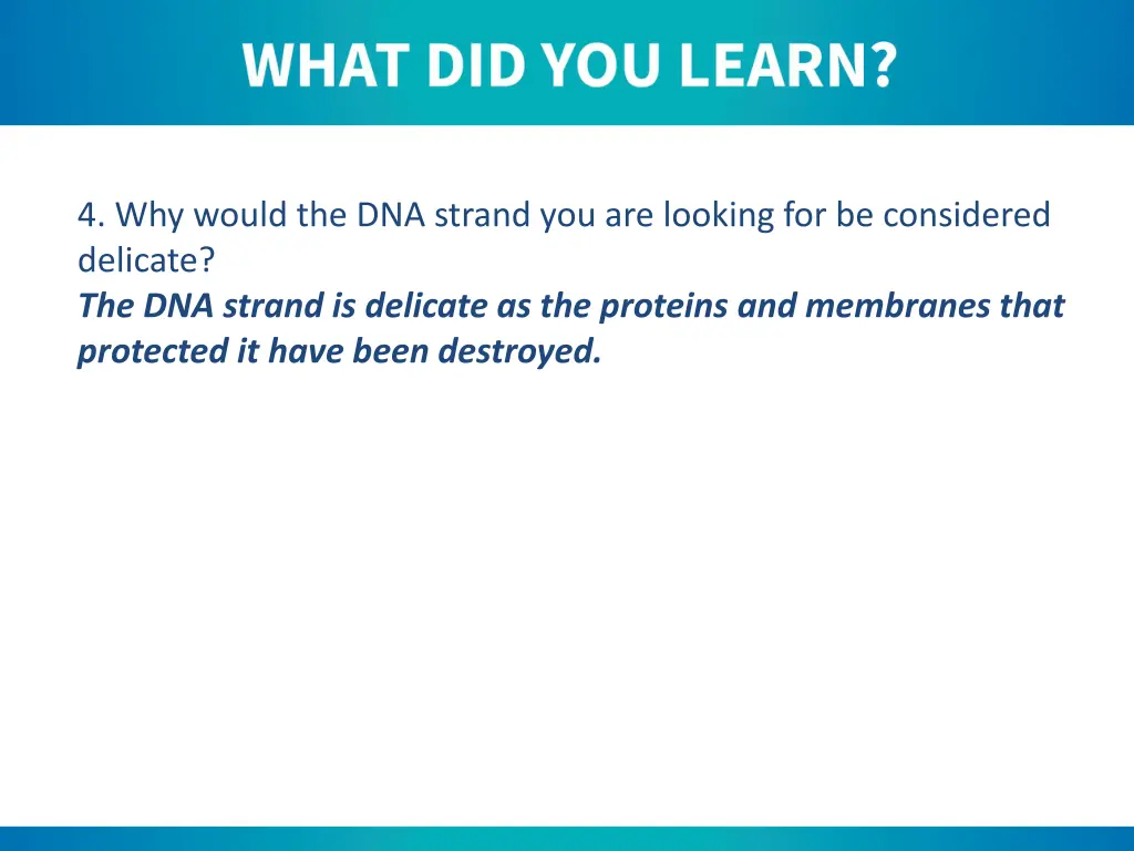 4 why would the dna strand you are looking