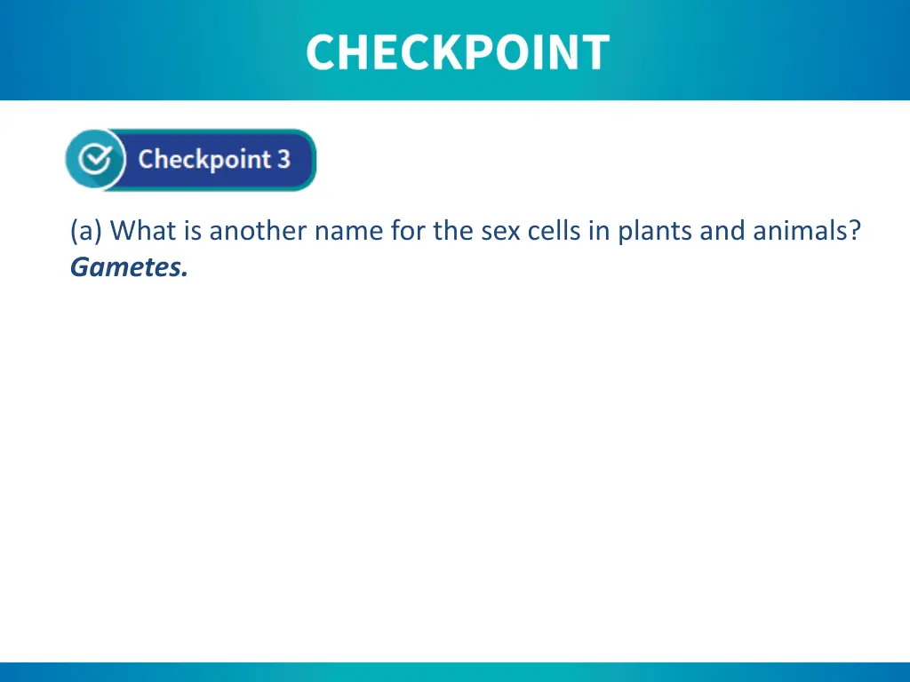 a what is another name for the sex cells